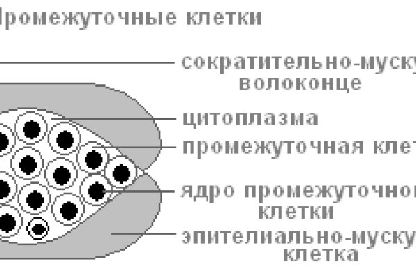 Обмен ссылками мега